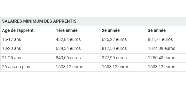 Le salaire minimum des apprentis en 2022. A noter que le salaire minimal des alternants en contrat de professionnalisation est d'un montant différent. 