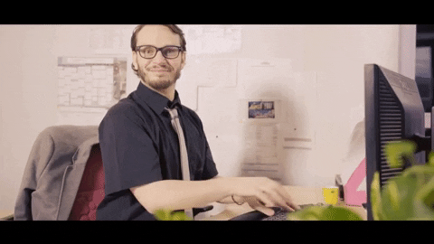 Chef de projet IT